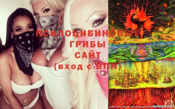 гидра Абдулино