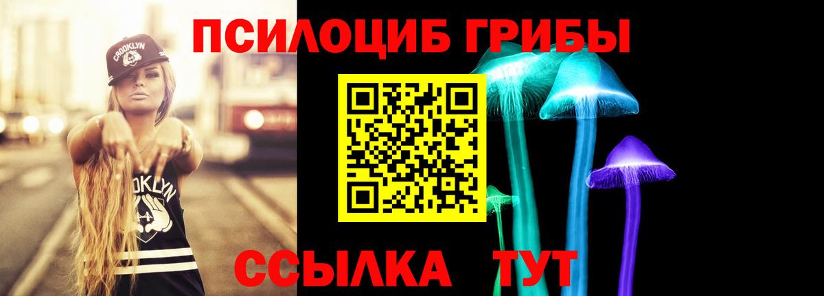 Псилоцибиновые грибы Cubensis Златоуст